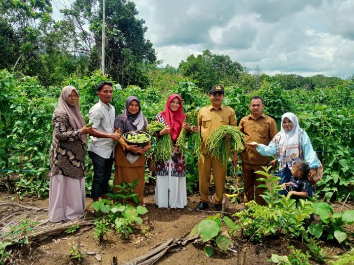 Gampong Teurebeh, yang terletak di wilayah Aceh Besar, telah menjadi sorotan dalam dunia pertanian lokal berkat keberhasilan panen kacang panjang yang melimpah. Kacang panjang, atau dikenal juga sebagai 'kacang buncis', merupakan salah satu jenis sayuran yang tidak hanya populer di kalangan masyarakat lokal, tetapi juga memiliki nilai ekonomi yang cukup signifikan. Panen kali ini tidak hanya membawa manfaat bagi para petani, tetapi juga memberikan kontribusi terhadap ketahanan pangan dan perekonomian masyarakat setempat. Dalam artikel ini, kita akan menjelajahi lebih dalam tentang proses panen ini, tantangan yang dihadapi, serta dampak positif yang ditimbulkan bagi Gampong Teurebeh dan sekitarnya. 1. Proses Pertanian Kacang Panjang di Gampong Teurebeh Pertanian kacang panjang di Gampong Teurebeh merupakan suatu praktik yang telah dilakukan secara turun-temurun oleh masyarakat setempat. Proses ini dimulai dari pemilihan benih yang berkualitas, persiapan lahan, hingga teknik penanaman yang tepat. Para petani di Gampong Teurebeh umumnya menggunakan metode organik, yang tidak hanya menjaga kesuburan tanah tetapi juga menghasilkan produk yang lebih sehat dan ramah lingkungan. Pemilihan Benih dan Persiapan Lahan Langkah pertama dalam proses pertanian ini adalah pemilihan benih unggul. Petani di Gampong Teurebeh cenderung memilih varietas kacang panjang yang telah terbukti tahan terhadap hama dan penyakit, serta memiliki hasil panen yang optimal. Setelah benih terpilih, persiapan lahan menjadi tahap berikutnya yang krusial. Tanah harus dibersihkan dari gulma, serta dipupuk dengan kompos untuk meningkatkan kesuburan tanah. Teknik Penanaman dan Perawatan Kacang panjang dapat ditanam dengan metode tugal atau sistem bedengan. Di Gampong Teurebeh, kebanyakan petani memilih metode bedengan karena dianggap lebih efisien. Setelah penanaman, perawatan rutin seperti penyiraman, pemupukan, dan pengendalian hama dilakukan untuk memastikan pertumbuhan tanaman yang maksimal. Para petani juga memperhatikan rotasi tanaman untuk menjaga keseimbangan ekosistem di lahan pertanian mereka. Panen dan Pascapanen Setelah kurang lebih tiga bulan, kacang panjang siap dipanen. Proses panen dilakukan secara manual dengan hati-hati agar tidak merusak tanaman yang masih muda. Setelah panen, kacang panjang akan dipilih dan diklasifikasikan berdasarkan ukuran dan kualitas sebelum dijual ke pasar. Proses ini membutuhkan ketelitian dan keahlian dari para petani, sehingga hasil panen dapat bernilai tinggi. Dalam keseluruhan proses ini, kolaborasi antara petani dan Kadistan Aceh Besar sangat penting. Mereka memberikan pelatihan dan bimbingan teknis kepada para petani untuk meningkatkan keterampilan dan pengetahuan pertanian, sehingga hasil panen dapat meningkat dari tahun ke tahun. 2. Tantangan yang Dihadapi Petani Kacang Panjang Meskipun panen kacang panjang di Gampong Teurebeh berlangsung sukses, tidak dapat dipungkiri bahwa para petani menghadapi berbagai tantangan. Beberapa di antaranya adalah perubahan iklim, serangan hama, dan keterbatasan akses ke pasar. Perubahan Iklim Perubahan iklim menjadi salah satu tantangan utama yang dihadapi oleh para petani. Variasi curah hujan dan suhu yang tidak menentu dapat mempengaruhi pertumbuhan dan hasil panen. Musim kemarau yang berkepanjangan atau hujan deras dapat menyebabkan kerusakan pada tanaman, sehingga mengurangi hasil panen. Oleh karena itu, penting bagi petani untuk memiliki pengetahuan dan strategi adaptasi terhadap perubahan iklim. Serangan Hama dan Penyakit Hama seperti ulat dan kutu daun sering kali menjadi masalah serius bagi para petani kacang panjang. Serangan hama dapat menyebabkan kerusakan yang signifikan pada tanaman, dan jika tidak ditangani dengan baik, dapat mengakibatkan kegagalan panen. Pengendalian hama secara efektif memerlukan pemahaman yang mendalam tentang siklus hidup hama dan pemanfaatan metode organik yang ramah lingkungan. Akses ke Pasar Meskipun hasil panen yang melimpah, tantangan lain yang dihadapi adalah akses ke pasar. Petani sering kali kesulitan dalam menjual produk mereka dengan harga yang wajar. Hal ini disebabkan oleh kurangnya infrastruktur transportasi dan jaringan distribusi yang efisien. Oleh karena itu, dukungan dari pemerintah dan lembaga terkait sangat diperlukan untuk meningkatkan aksesibilitas pasar bagi para petani. Solusi dan Dukungan Kadistan Aceh Besar telah berperan aktif dalam membantu petani mengatasi tantangan ini. Dengan menyediakan pelatihan dan akses ke teknologi pertanian modern, mereka berupaya meningkatkan ketahanan petani dalam menghadapi berbagai masalah yang ada. Selain itu, program kemitraan dengan pasar lokal juga diupayakan untuk memastikan bahwa petani dapat menjual produk mereka dengan harga yang lebih baik. 3. Dampak Ekonomi Panen Kacang Panjang Keberhasilan panen kacang panjang di Gampong Teurebeh tidak hanya berdampak pada para petani, tetapi juga memberikan kontribusi yang signifikan terhadap perekonomian lokal. Hasil panen yang melimpah membuka peluang kerja dan meningkatkan pendapatan masyarakat setempat. Peningkatan Pendapatan Petani Dengan hasil panen yang baik, pendapatan para petani mengalami peningkatan yang signifikan. Hal ini tidak hanya membantu mereka memenuhi kebutuhan sehari-hari, tetapi juga memberikan kesempatan untuk mengembangkan usaha pertanian lebih lanjut. Banyak petani yang mulai berinvestasi dalam alat pertanian modern dan memperluas lahan yang mereka kelola. Membuka Peluang Kerja Panen kacang panjang juga membuka peluang kerja bagi masyarakat sekitar. Selain petani, banyak individu yang terlibat dalam proses pascapanen, distribusi, dan penjualan. Ini membantu mengurangi angka pengangguran di Gampong Teurebeh dan sekitarnya, serta memberikan kontribusi terhadap kesejahteraan masyarakat. Dampak pada Ekonomi Lokal Dari sudut pandang ekonomi lokal, keberhasilan panen kacang panjang berkontribusi terhadap peningkatan ekonomi daerah secara keseluruhan. Permintaan akan kacang panjang yang tinggi di pasar lokal dan regional menciptakan peluang bagi pedagang dan pengusaha lokal untuk berinvestasi dalam rantai pasok. Dengan demikian, Gampong Teurebeh menjadi salah satu pusat pertanian yang berpotensi untuk berkembang lebih jauh. Peningkatan Ketahanan Pangan Selain dampak ekonomi, keberhasilan panen juga berkontribusi terhadap ketahanan pangan. Kacang panjang sebagai salah satu sumber sayuran yang kaya akan nutrisi menjadi bagian penting dari pola makan masyarakat. Dengan tersedianya sayuran segar, masyarakat dapat memenuhi kebutuhan gizi mereka dengan lebih baik. 4. Harapan Masa Depan Pertanian Kacang Panjang di Gampong Teurebeh Memandang ke depan, ada banyak harapan dan potensi yang dapat dikembangkan dalam pertanian kacang panjang di Gampong Teurebeh. Dengan dukungan yang tepat, baik dari pemerintah maupun masyarakat, sektor pertanian di daerah ini dapat mencapai keberlanjutan dan pertumbuhan yang lebih baik. Inovasi Pertanian Inovasi dalam pertanian menjadi kunci untuk meningkatkan produktivitas. Penggunaan teknologi modern, seperti sistem irigasi yang efisien dan penggunaan pupuk organik dapat membantu petani meningkatkan hasil panen mereka. Selain itu, pemanfaatan aplikasi berbasis teknologi untuk memantau kesehatan tanaman dan pasar dapat memberikan informasi yang berguna bagi petani. Pendidikan dan Pelatihan Pendidikan dan pelatihan bagi para petani juga sangat penting. Melalui program-program yang diadakan oleh Kadistan Aceh Besar, petani dapat memperoleh pengetahuan tentang teknik pertanian terbaru. Dengan pengetahuan yang lebih baik, mereka dapat menghadapi tantangan dengan lebih efektif dan meningkatkan kualitas hasil panen. Kerjasama Antara Petani dan Pemerintah Kerjasama yang solid antara petani dan pemerintah sangat diperlukan untuk memastikan keberlanjutan pertanian di Gampong Teurebeh. Program dukungan, subsidi, dan akses pasar yang lebih baik dapat membantu petani dalam mengembangkan usahanya. Dengan upaya bersama, Gampong Teurebeh dapat menjadi contoh sukses dalam pengembangan pertanian berkelanjutan di Aceh. Kesadaran Lingkungan Kesadaran akan pentingnya pertanian berkelanjutan juga semakin meningkat. Masyarakat di Gampong Teurebeh kini lebih memahami pentingnya menjaga lingkungan dan memproduksi makanan yang sehat. Dengan pendekatan ramah lingkungan, diharapkan pertanian kacang panjang dapat terus berkembang tanpa merusak ekosistem yang ada.